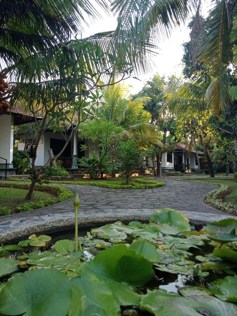 Rini Hotel Lovina  Ngoại thất bức ảnh